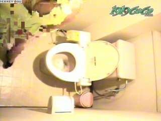 japanese toilette in the toilet of the russian federation